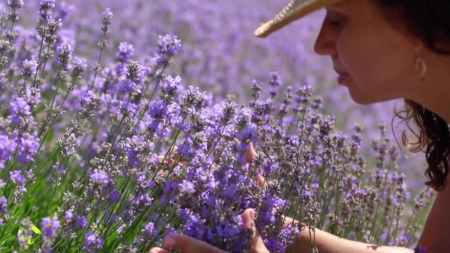 Woman smells lavender flowers on the lavender field in the rays of the setting sun.