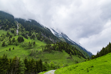 Fototapeta na wymiar ein kleiner Wanderweg in den Bergen in Österreich, im Hintergrund die Berge