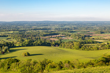 Looking out over the Sussex countryside from Ditchling Beacon, on a sunny summers evening