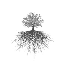 Flat vector design of a gray tree with dense roots of life close-up isolated. Stylish sketch for tattoo