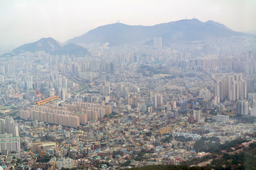 Fototapeta premium Aerial view of the Busan downtown cityscape with cherry tree blossom