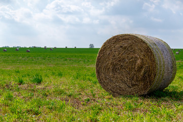 ein gro&szlig;es Feld mit vielen Strohballen, Erntezeit