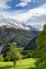 Fototapeta na wymiar eine schöne Landschaft mit Bergen in Österreich