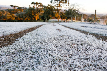 rua de neve