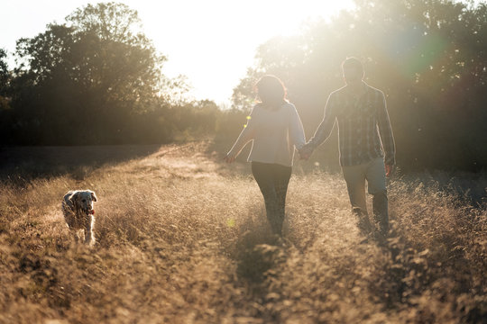 Back view of couple holding hand and walking with dog in golden rural field with bright sunset light
