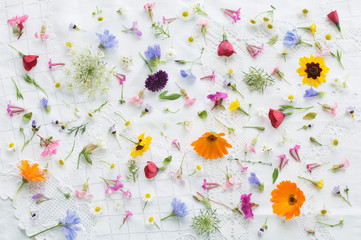 Blossoms of summer flowers on white tablecloth