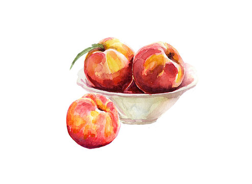  Peaches in fruit weight. Watercolor.