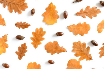 Pattern made from oak leaves and acorns on white background