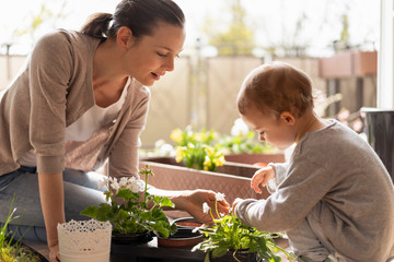 Mother and daughter planting flowers together on balcony