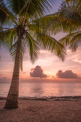 Fototapeta na wymiar Stunning sunset in the Caribbean Ocean, in Cozumel Mexico