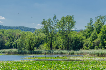 Sommerliche Erkundungstour entlang des wunderschönen Werratales. - Breitungen/Seeblick.