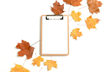 Naklejka na ściany i meble Clipboard mockup with dry maple leaves on white background