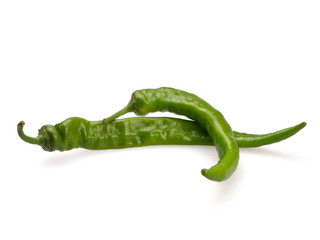 There are two green bitter peppers. On a white background. Still life. Close-up.