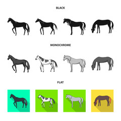 Vector design of breed and equestrian sign. Collection of breed and mare vector icon for stock.