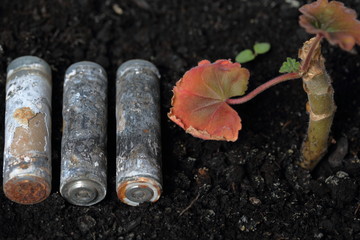 Spent batteries lie on the ground. Covered with corrosion. A fading plant grows from the ground. Recycling and environmental protection.