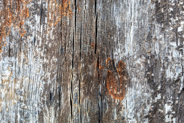 Old Weathered Damaged Wood Texture