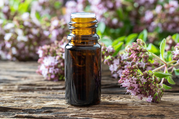 A dark bottle of essential oil with oregano twigs