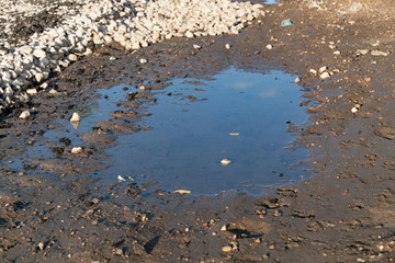 Cigarette butt lying in a puddle on the side of the road