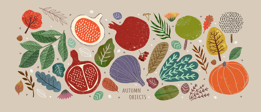 Naklejki Vector illustrations of autumn objects: fruits and vegetables, harvest, trees, leaves, plants, pumpkin, pomegranates, figs and nuts. Cute freehand drawings to create a poster or card.