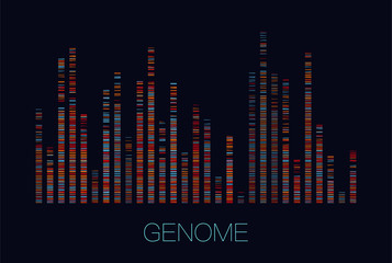 Big genomic data visualization