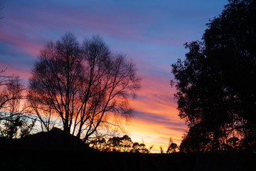 sunrise in Palmerston