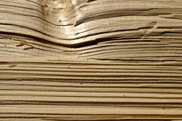 fichtenholz gespalten