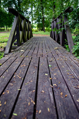 A small wooden bridge in the park. Crossing a small river in the forest area.