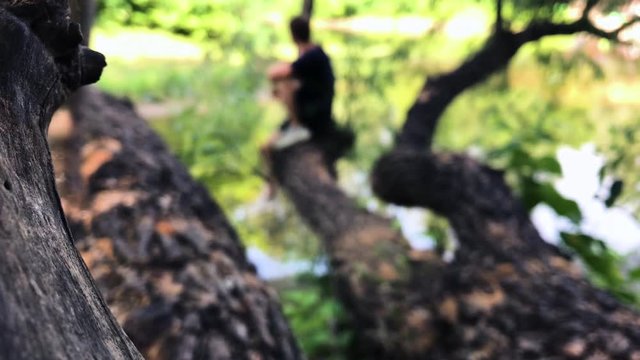 Man siting on the tree