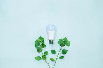 Energy efficience, ecological technologies, green electricity concept. Led lightbulb between brances with tender green leaves symbolizing environmental awareness and saving electricity