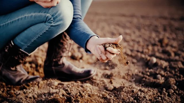 Farmer grabs soil from the ground