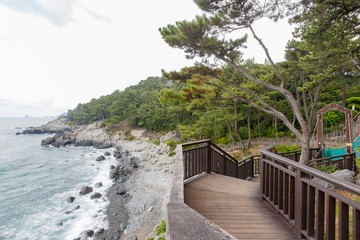 Fototapeta na wymiar Wooden trail along the shore in Haeundae