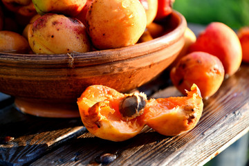 Very ripe homemade apricots in the garden on the bench, in a ceramic bowl.