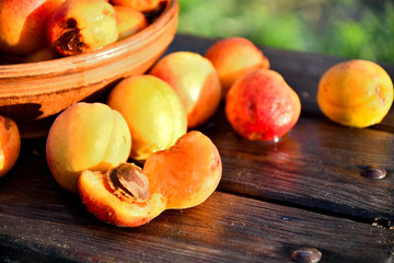 Very ripe homemade apricots in the garden on the bench, in a ceramic bowl.