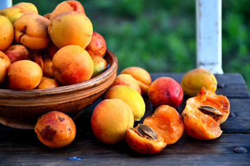Naklejka na ściany i meble Very ripe homemade apricots in the garden on the bench, in a ceramic bowl.
