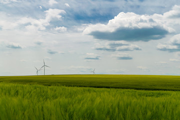 Fototapeta na wymiar Wind turbines situated in a green wheat field