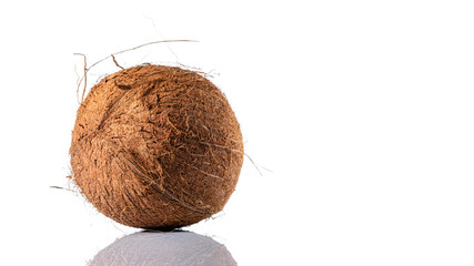 Hairy coconut on white background with reflection
