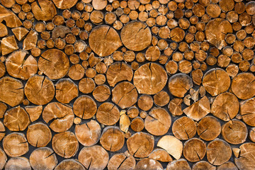 View of end cut wood tree section with cracks and annual rings. Natural organic texture with cracked and rough surface. Round cut down tree. Close view of brown tree log.
