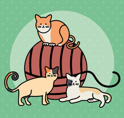 cute cats mascots with wool ball toy