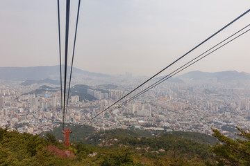 Aerial view of the Busan downtown cityscape with cherry tree blossom