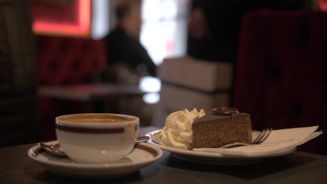 Shot of traditional Chocolate Cake, Vienna, Austria, Europe