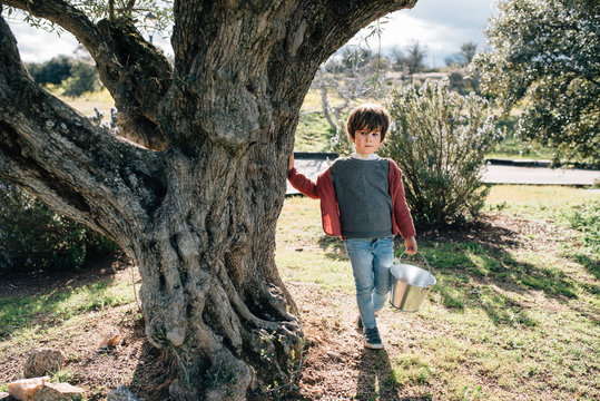 Adorable little boy carrying small metal bucket while walking on road in sunny countryside