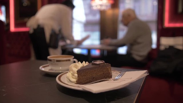 Shot of traditional Chocolate Cake, Vienna, Austria, Europe
