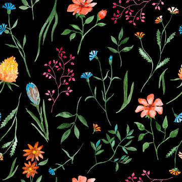 Different flowers watercolor painting - hand drawn seamless pattern with blossom on black background