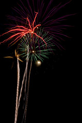 beautiful firework celebration at night