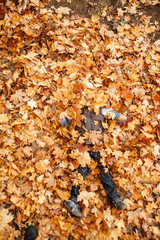 The boy plays in the autumn park. Dug into fallen leaves