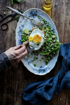 Overhead view of person having meal