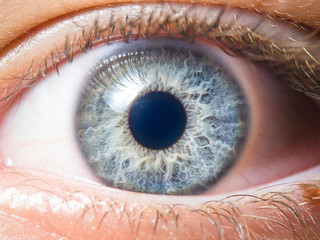 Human eye close up