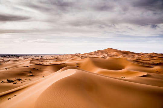 Landscape of desert with sand hills in Marrakesh, Morocco