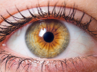 Human eye close up