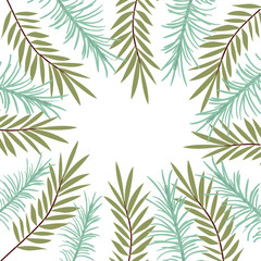 Naklejka na ściany i meble pattern of branch with leaf in white background